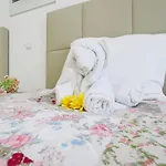 Apartman Sweet Oasis Parque T3 *